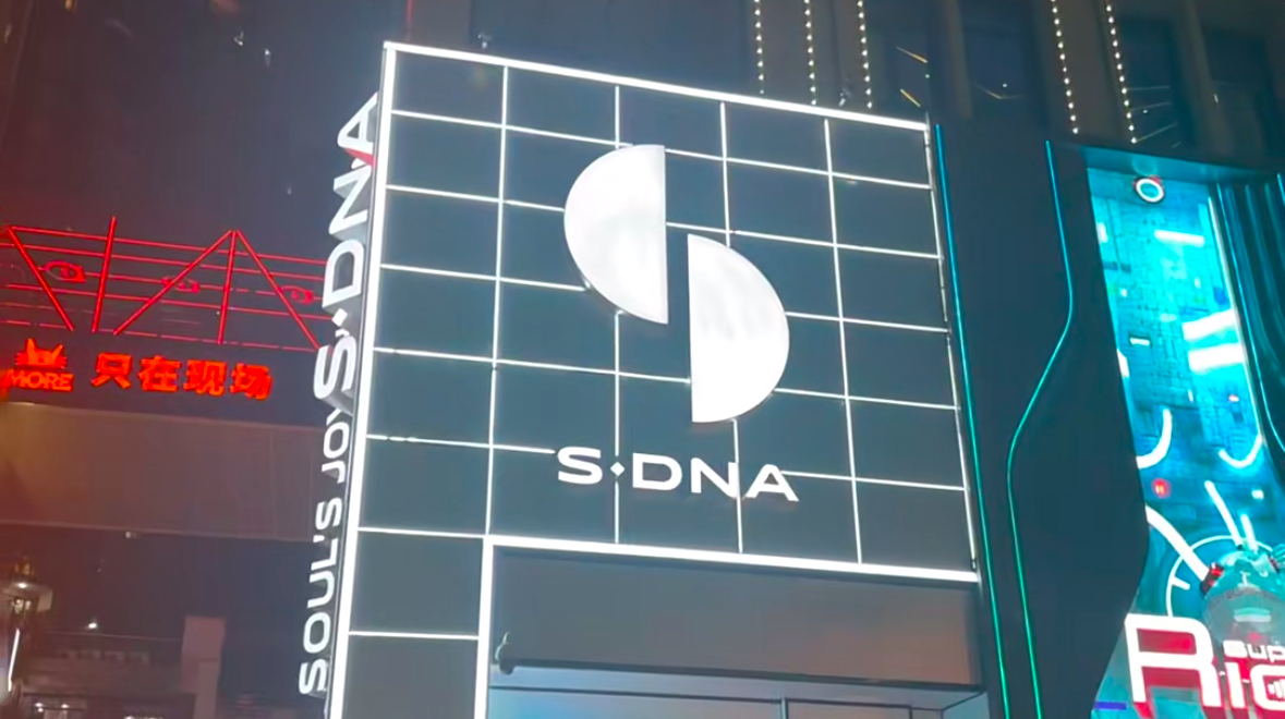 DNA CLUB 사진