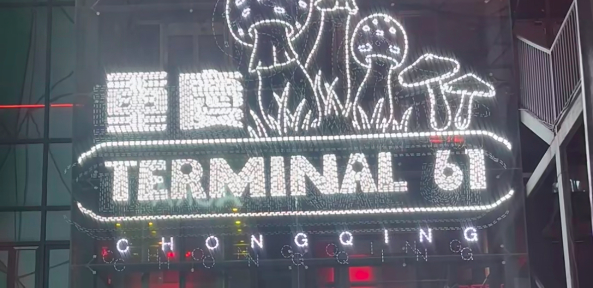 T61 사진